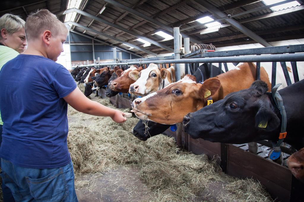 Farm Overleekerhoeve Monnickendam Dış mekan fotoğraf