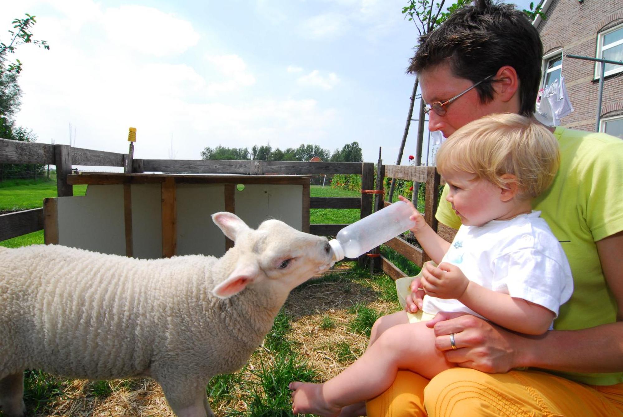 Farm Overleekerhoeve Monnickendam Dış mekan fotoğraf