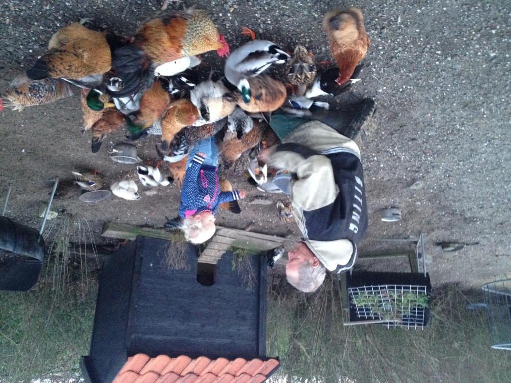 Farm Overleekerhoeve Monnickendam Dış mekan fotoğraf